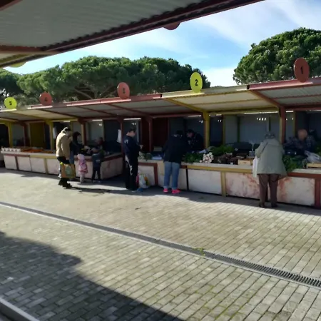 Casa Da Lagoa